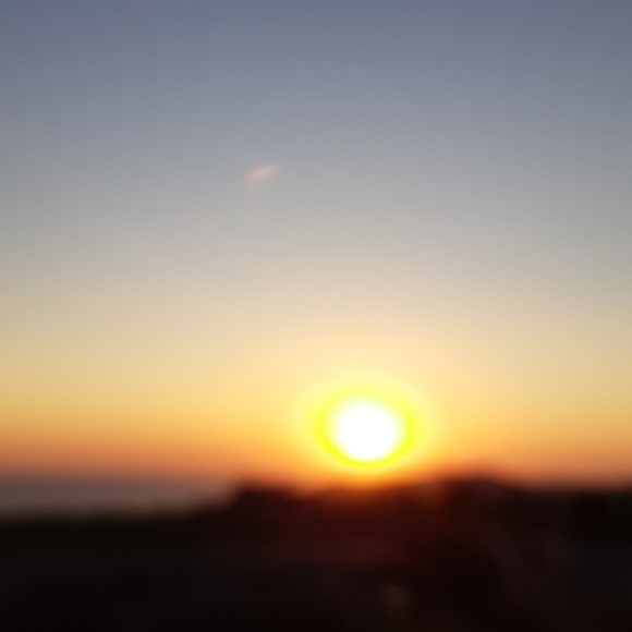 Meet your Posher, Maya - Picture 1 of 1